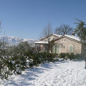 Resort Il Bruco B&B